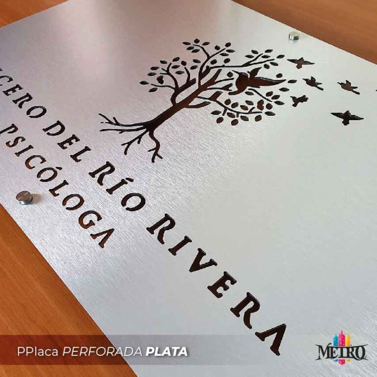 Placa Perforada 6
